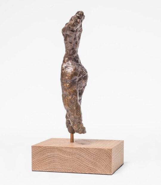 Figurative sculpture Anchor with Bronze Patina