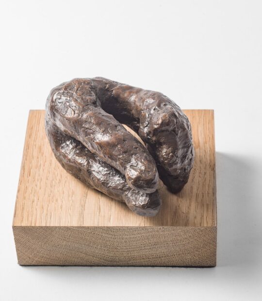 Figurative sculpture Control with Bronze Patina