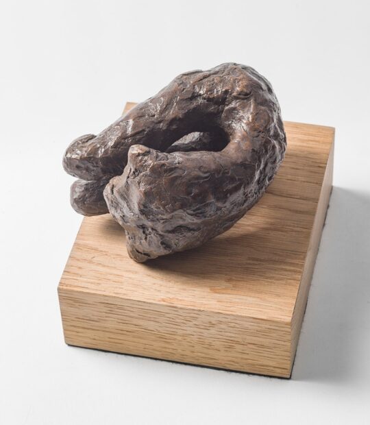 Figurative sculpture Control with Bronze Patina