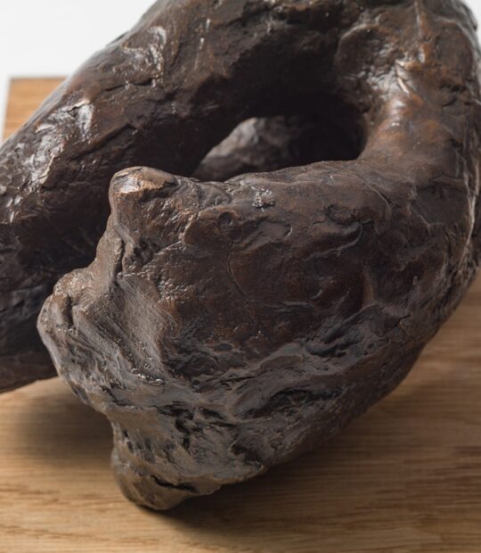 Figurative sculpture Control with Bronze Patina
