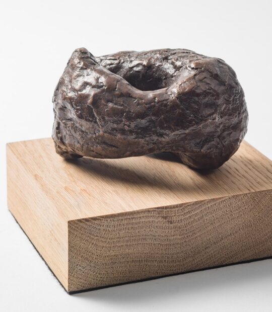 Figurative sculpture Control with Bronze Patina