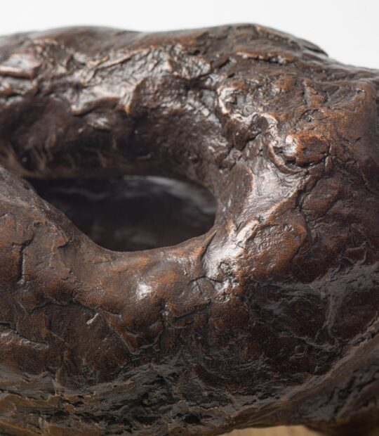 Figurative sculpture Control with Bronze Patina