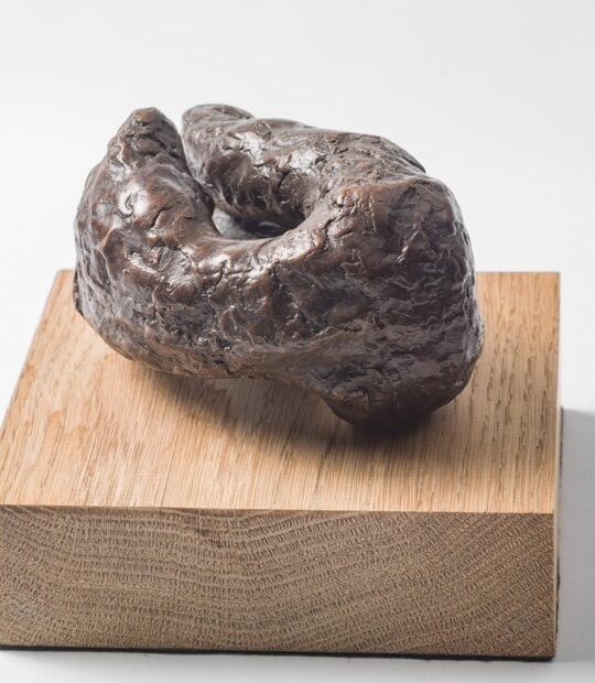 Figurative sculpture Control with Bronze Patina
