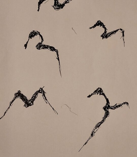 Link to Ink Drawing XIV page.