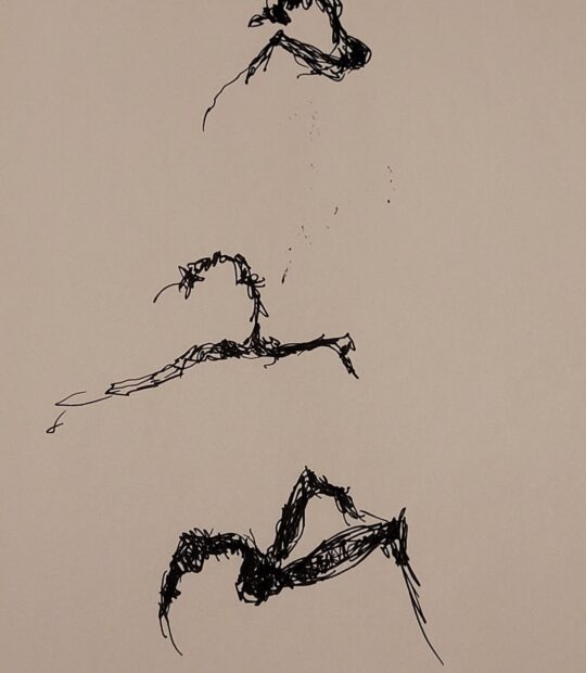 Link to Ink Drawing XI page.
