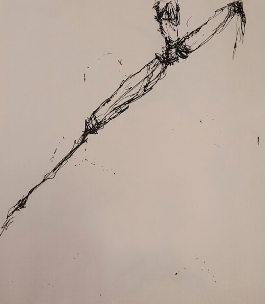 Link to Ink Drawing XVI page.