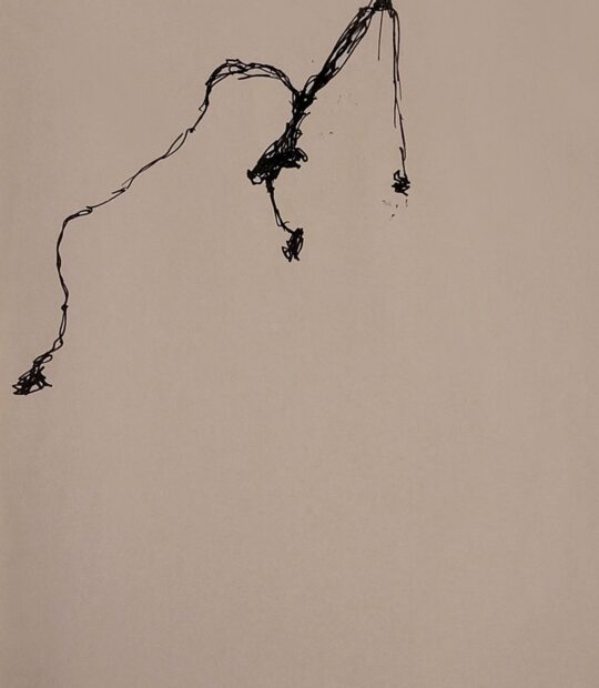 Link to Ink Drawing X page.